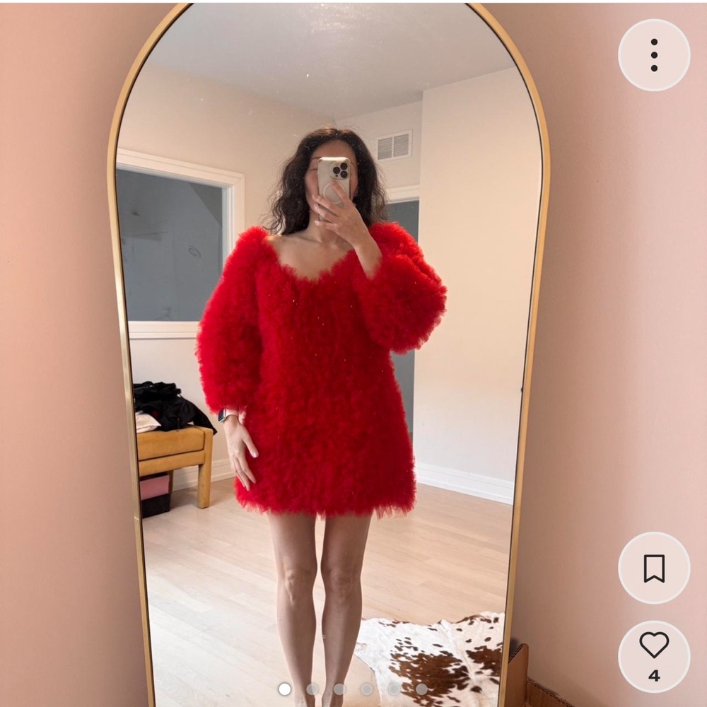 Red Tulle Dress